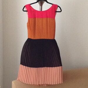 ⭕️ DKNY - Color Block & "Lots of Pleats" Dress